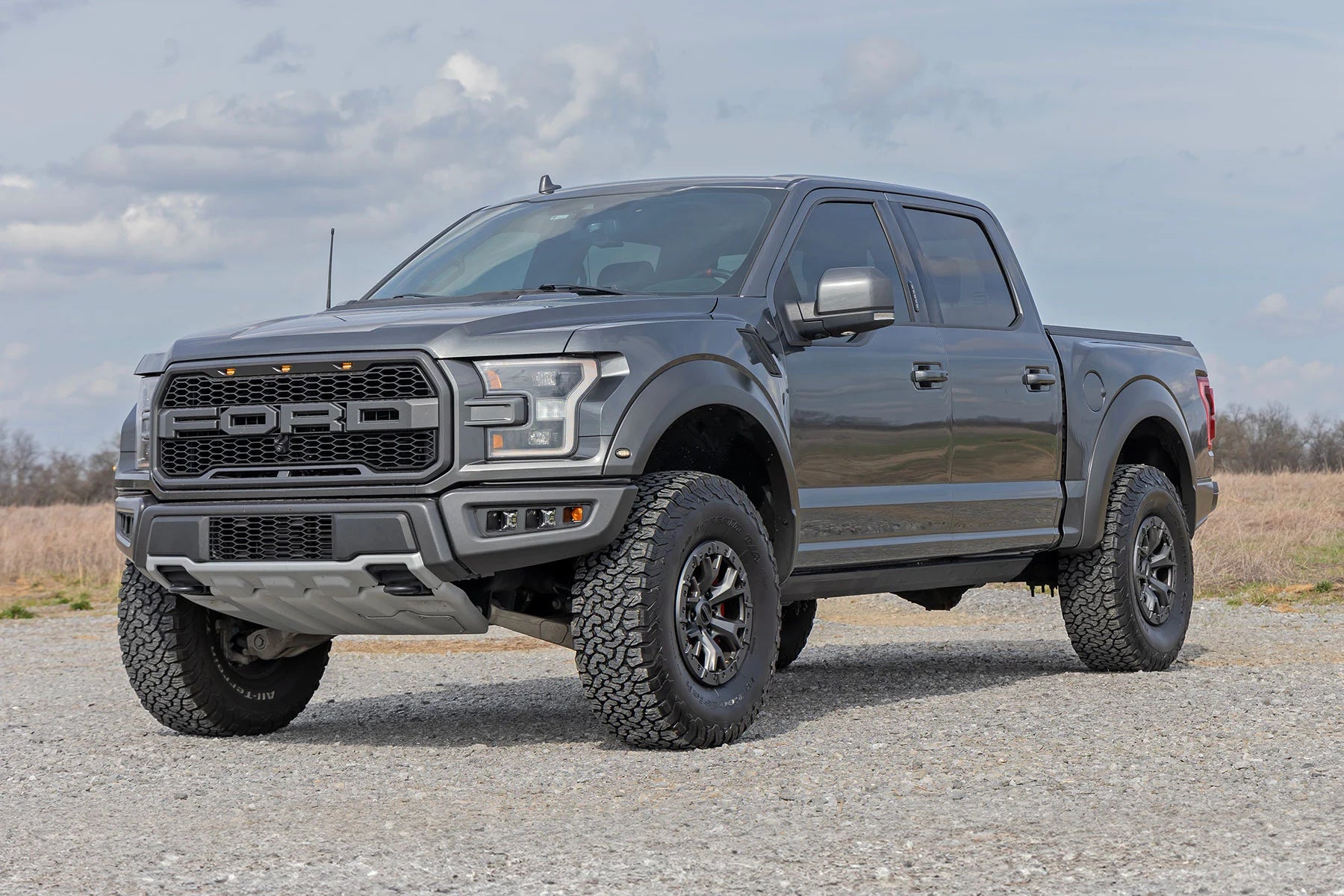 Rough Country Power Running Boards Ford F-150/Lightning/F-250/F-350/Raptor (15-25)